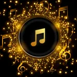 Pi Music Player - Offline MP3 icon