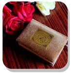 Daily Quran Quotes icon