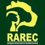 RAREC AR icon