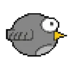 Crappy Bird icon