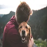 Pet Adoption: Adopt a Dog,Cat  icon
