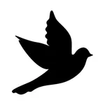 BlackBird icon