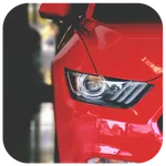 Red Wallpapers HD+ 2020 icon