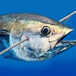 Spearfishing Simulator icon