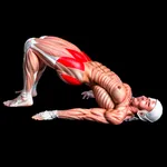 Kegel For Men Plevic Exercises icon