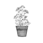 꽃말 사전(AR) icon