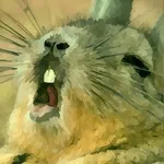 Fluffy Runner: Rabbit Adventur icon