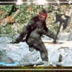 Bigfoot Detector Geolocation icon