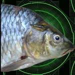 Subsonic Ping Fish Detector icon