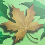 Wind For Maple Leaf icon