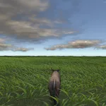 Savanna Safari Wildlife Animal icon