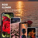 Rose Flower Wallpaper icon