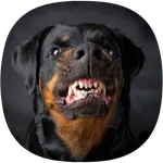 Barking Dog Ringtones icon