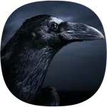 Crow Ringtones icon