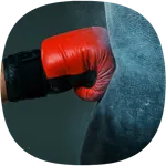 Punching Sounds icon