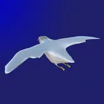 Happy Birds icon