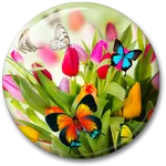 Spring Live Wallpaper icon