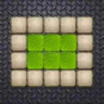 Puzzle Path icon