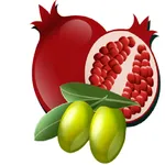 بيت المونة icon