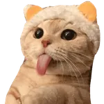 Cat Stickers icon