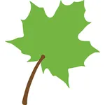 Birdirhem Aktar & Baharat icon