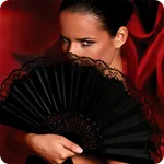 SALSA Straubing icon