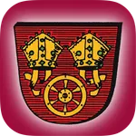 TSV Eintracht Naumburg e.V. icon