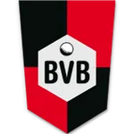 Handball SV BVB 49 e.V. icon
