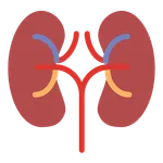 Chronic Kidney Disease (CKD) icon