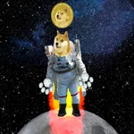 DogeCoin To The Moon & Beyond icon