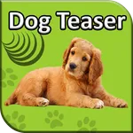 Dog Teaser icon