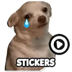 Dog meme sticker WAStickerApps icon