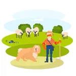 какие пастушьи собаки бывают? icon