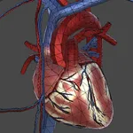 CardioGame icon