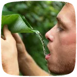 Wilderness Survival Guide icon