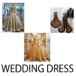 Collection of wedding dress de icon