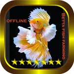 Betta fish farming icon