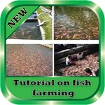 Tutorial on fish farming icon