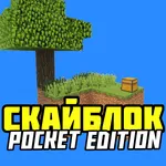 Карты выживания: один блок icon