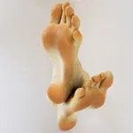 HAELE 3D - Feet Poser - Demo icon