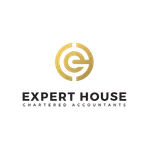 Expert House icon