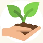 jijel startup icon