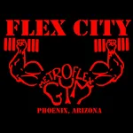 Flex City icon