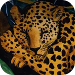 The Animals Sleep icon