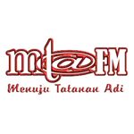 MTA FM icon
