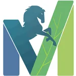 شركة ابو مويس icon