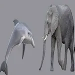 SPELL THIS COLORS icon