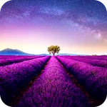 Lavander Field PRO icon