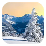 Winter Live Wallpaper icon