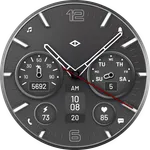 Vulkan Hybrid Watch Face icon